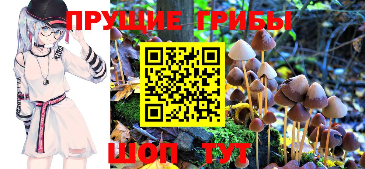 Псилоцибиновые грибы ЛСД  Псилоцибиновые грибы Cubensis  Вход с VPN  Мончегорск 