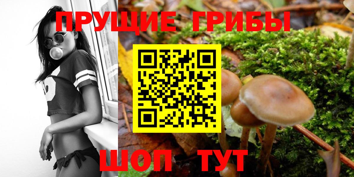 Псилоцибиновые грибы ЛСД Мончегорск